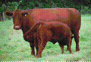 image093.gif