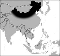 Cerdos norte China.jpg