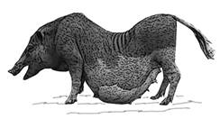 Hmong village-GR.jpg