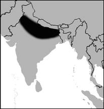 India-mapa-Desi.jpg