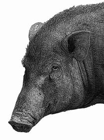 Sin t�tulo-1-GR.jpg