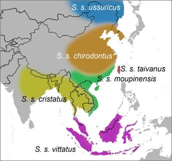 Asia-jabali-mapa.jpg
