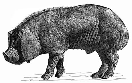 Taihu Fengjing-m-GR.jpg