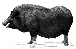 Luang Prabang-GR.jpg