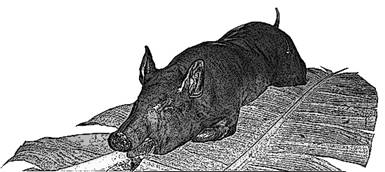Lechon-GR.jpg