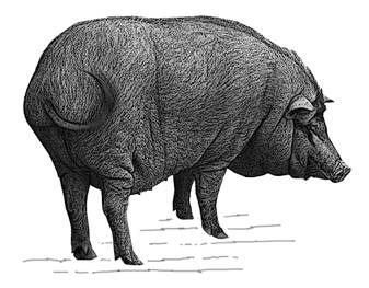 Sin t�tulo-4-GR.jpg